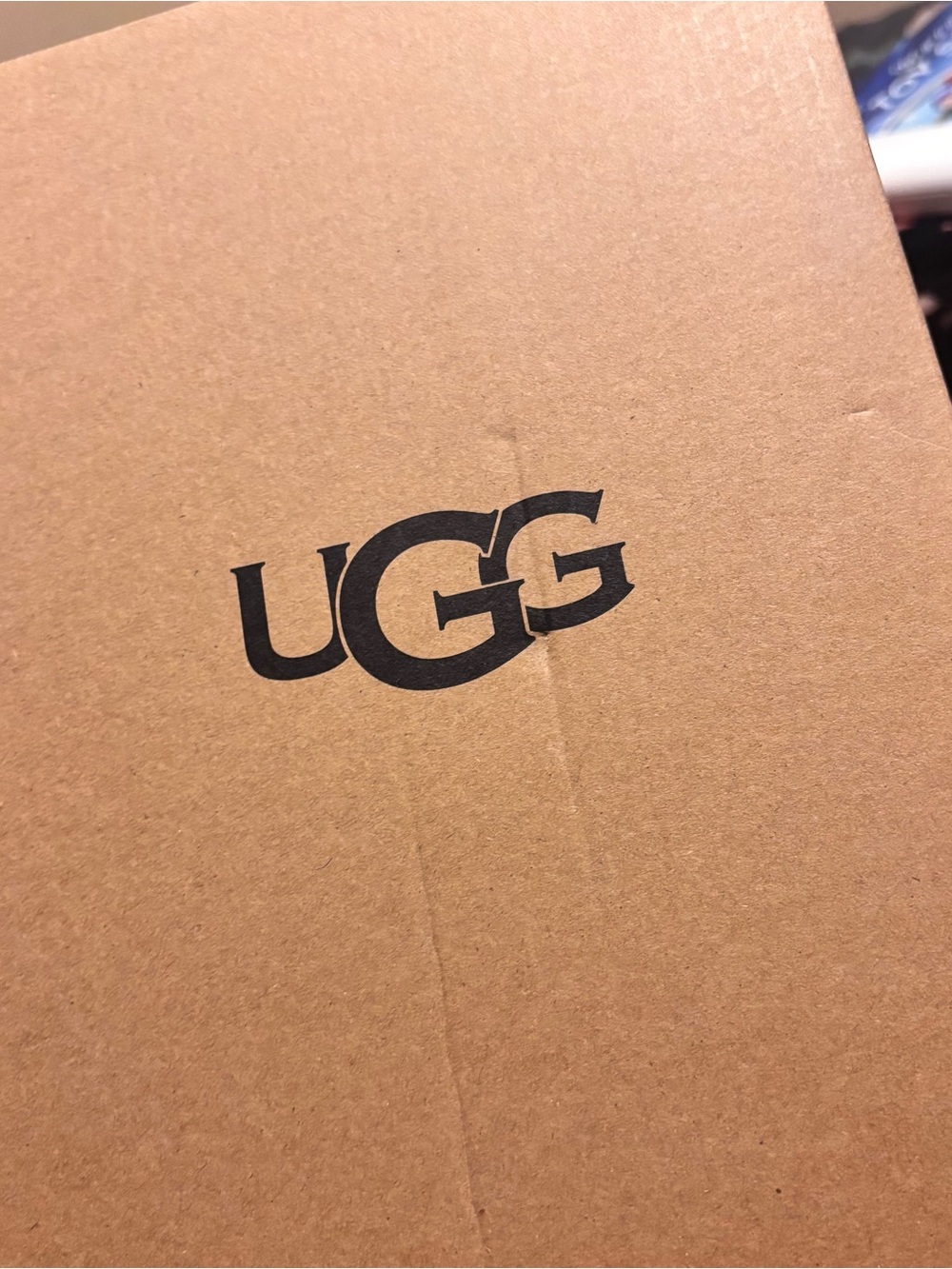 UGG Brown Mules/Clogs (Box Visible)